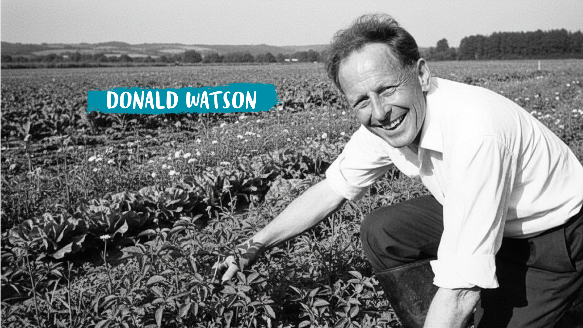 ¿Quién fue Donald Watson? ¿Y qué tiene que ver con el veganismo?
